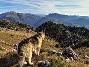 47 Dori osserva i dossi verso cima Cancervo